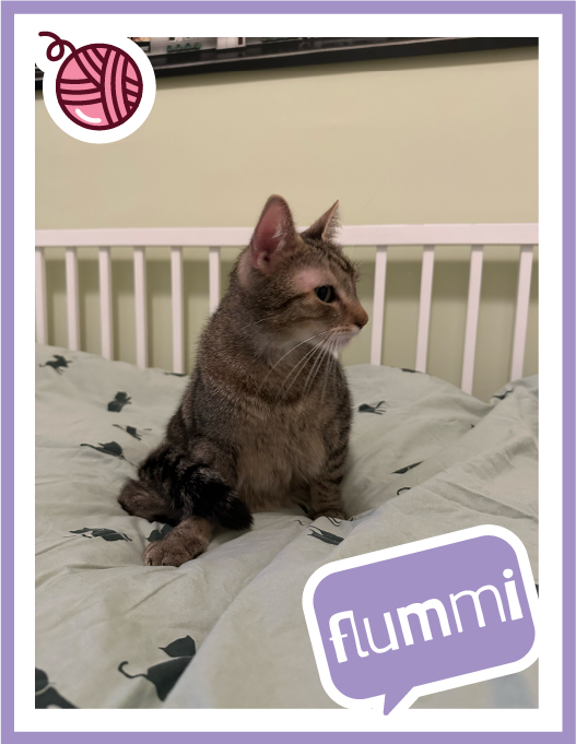 flummi-100