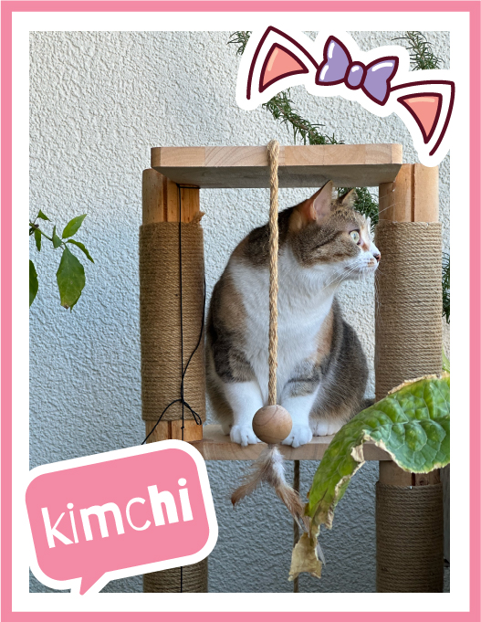 kimchi-100