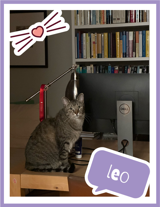 leo-100