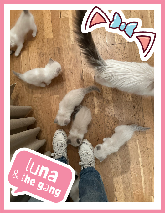 luna-100