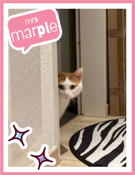 marple-100