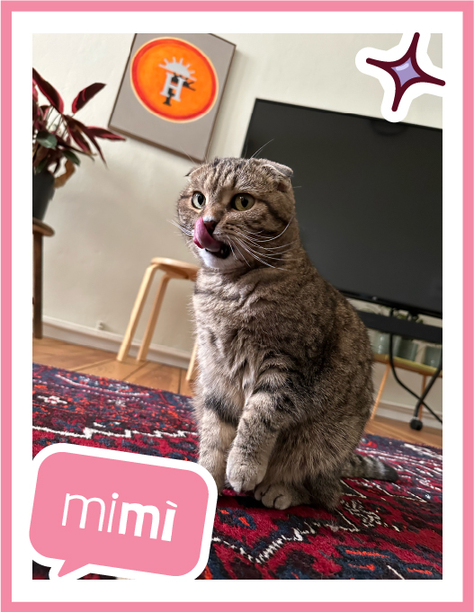 mimi-100