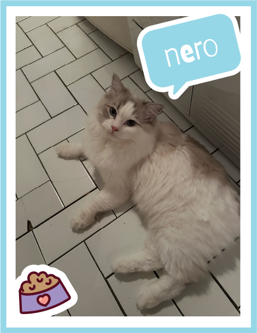 nero-100